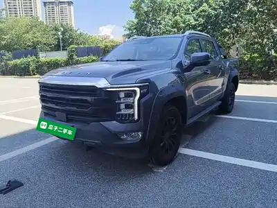 Foton Mars 2024