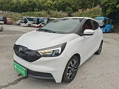 JMCG New Energy Yizhi EV3 2022