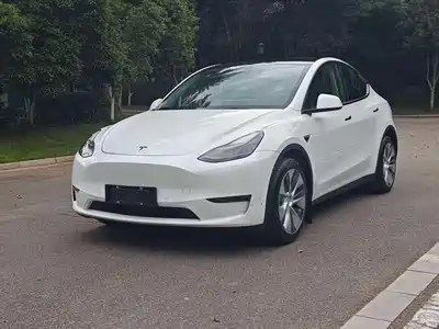 Tesla Model Y 2021