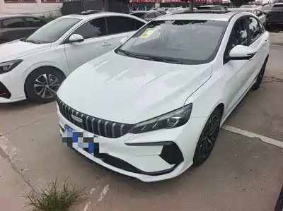 Geely Binrui 2026