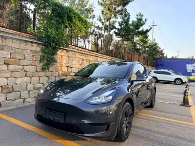 Tesla Model Y 2025