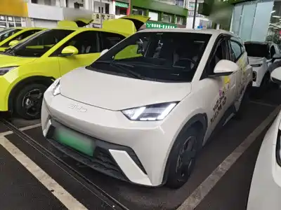 BYD Seagull 2023