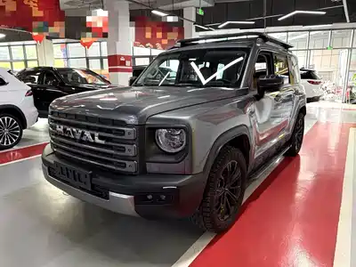 Haval Meng Long NEV 2024
