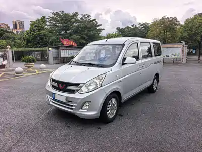Wuling Motors Rongguang V 2019