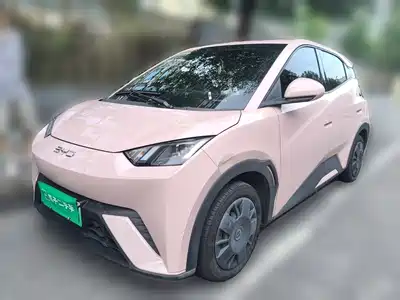 BYD Seagull 2024