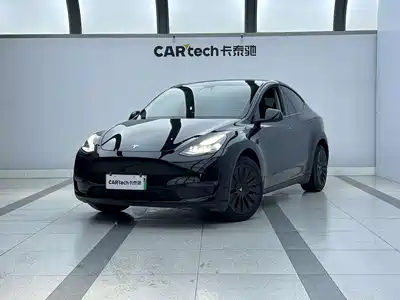 Tesla Model Y 2021