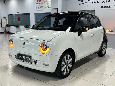 Ora Black Cat 2020