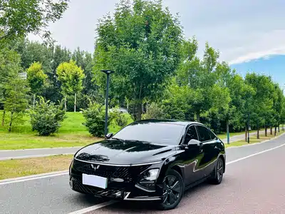 Wuling Motors Starlight 2024