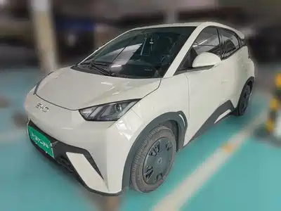 BYD Seagull 2024