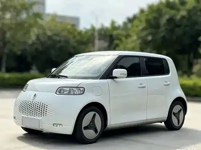 Ora White Cat 2021