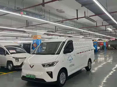 Wuling Motors Yangguang 2024