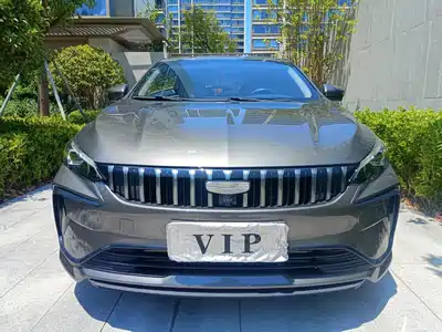 Geely Binrui 2025