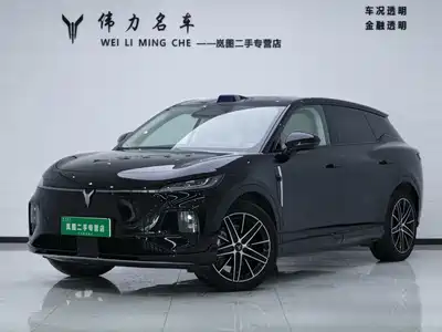 Voyah Auto Zhiyin 2025