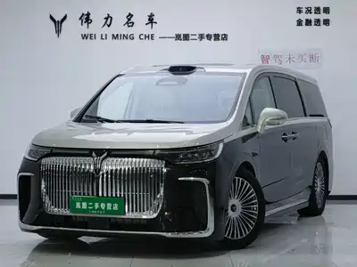 Voyah Auto Dreamer 2024