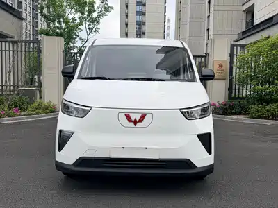 Wuling Motors Yangguang 2024