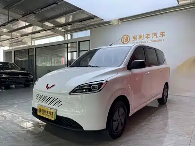 Wuling Motors Hongguang New Energy 2025