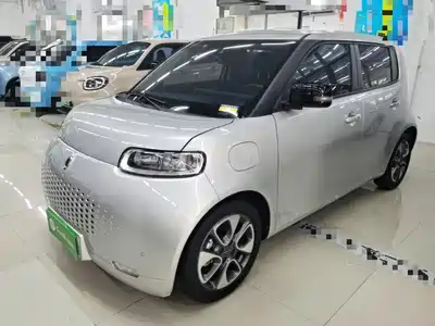 Ora White Cat 2021