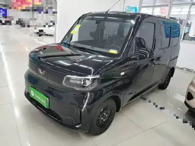 Wuling Motors Zhiguang NEV 2026