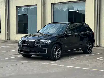BMW X5 New Energy(Imported) 2018
