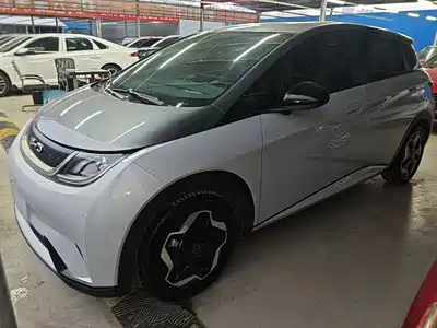 BYD Dolphin 2022