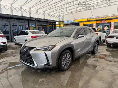 Lexus UX Electric 2021