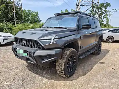 Mengshi 917 2024