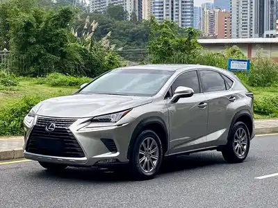 Lexus NX 2020