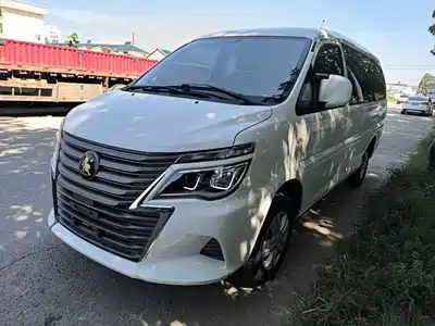 Dongfeng Fengxing Lingzhi 2022