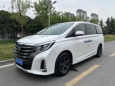 GAC Trumpchi M8 2020