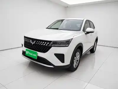Wuling Motors Xingchi 2024
