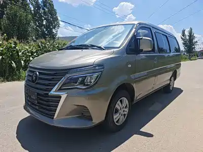 Dongfeng Fengxing Lingzhi 2024