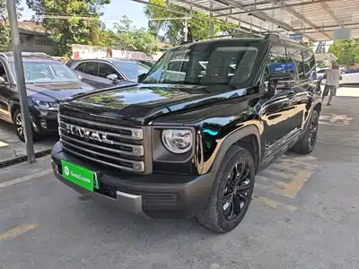 Haval Meng Long NEV 2024