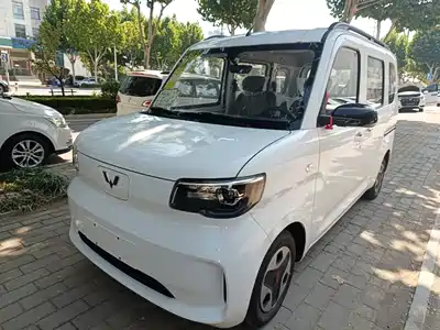 Wuling Motors Zhiguang NEV 2026