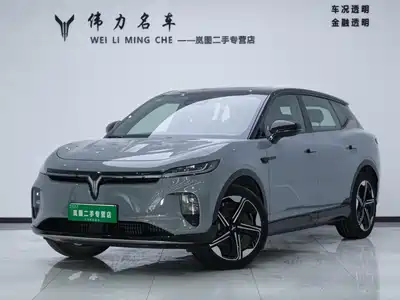 Voyah Auto Zhiyin 2025