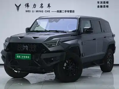 Mengshi 917 2024