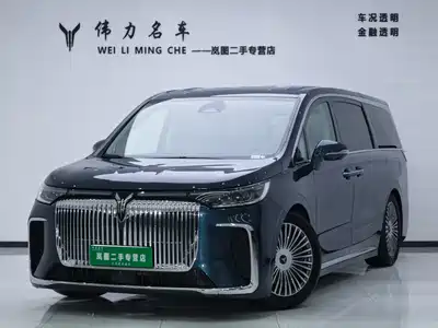 Voyah Auto Dreamer 2025