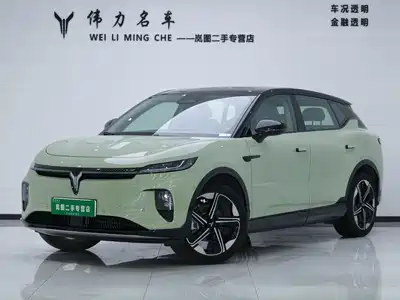 Voyah Auto Zhiyin 2025