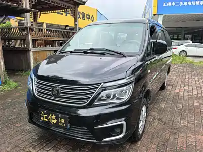 Dongfeng Fengxing Lingzhi 2021