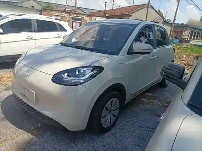 Wuling Motors Bingo 2024