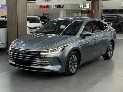 BYD Destroyer 05 2024