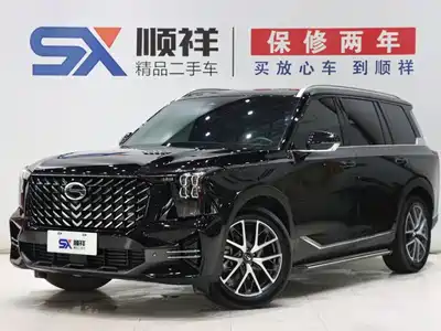 GAC Trumpchi GS8 2024