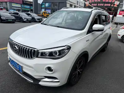 SWM Motor X7 2019