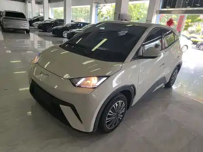 BYD Seagull 2024