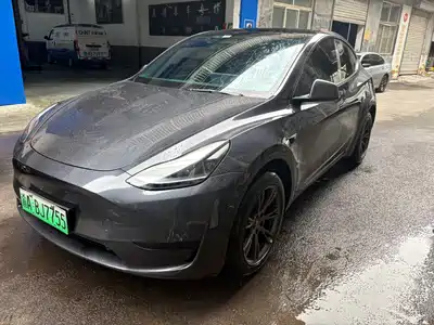 Tesla Model Y 2025
