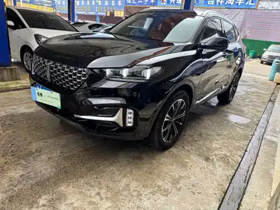 WEY VV6 2020