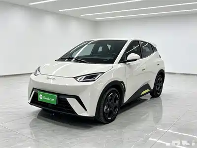 BYD Seagull 2024