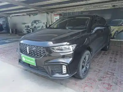 WEY VV5 2020