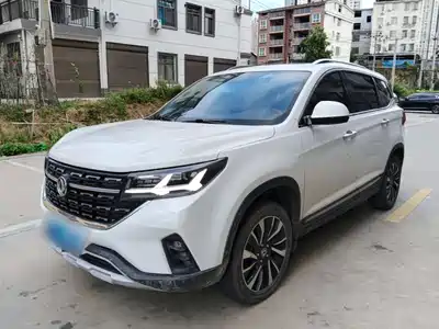 Dongfeng Fengxing T5 2019
