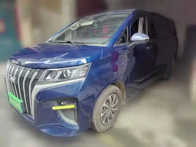 BAW (Beijing Automobile Works) Ruisheng Ace M7 2023