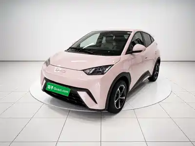 BYD Seagull 2024